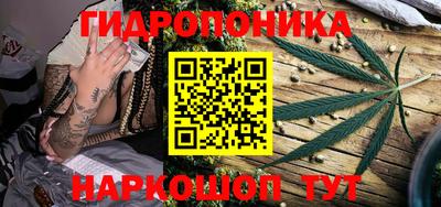 шишки Заводоуковск