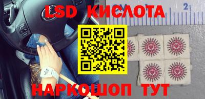 шишки Заводоуковск