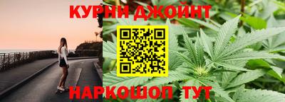 шишки Заводоуковск