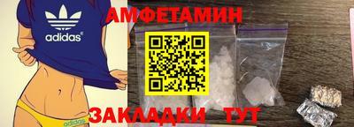 шишки Заводоуковск