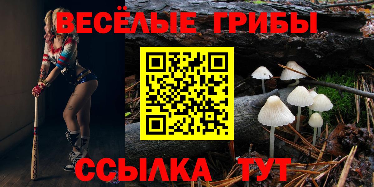 Галлюциногенные грибы мухоморы  Вход с VPN  Людиново 
